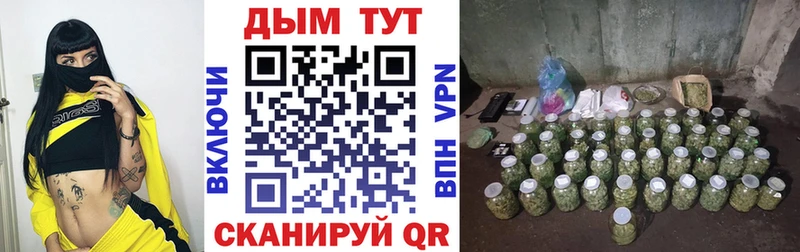 Бошки Шишки SATIVA & INDICA  как найти наркотики  Кизел 